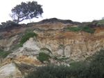 the cliffs