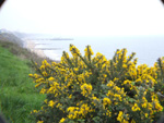 view of Bournemouth seafront