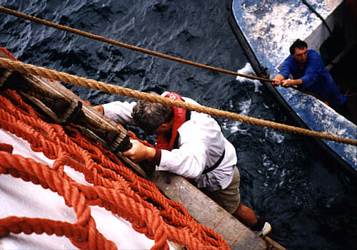 https://www.sthelena.se/wp-content/uploads/2008/01/joe1.jpg (44376 bytes)