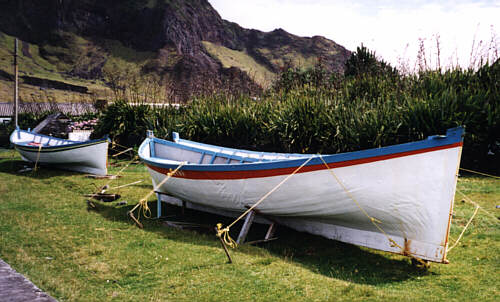 https://www.sthelena.se/wp-content/uploads/2008/01/life1.jpg (39498 bytes)