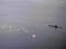 https://www.sthelena.se/wp-content/uploads/2008/01/sub1.jpg (5414 bytes)