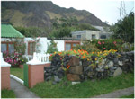 A flowering graden