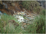 A blown down hut on Nightingale