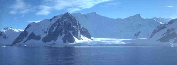 Livingston Island - Antarctica